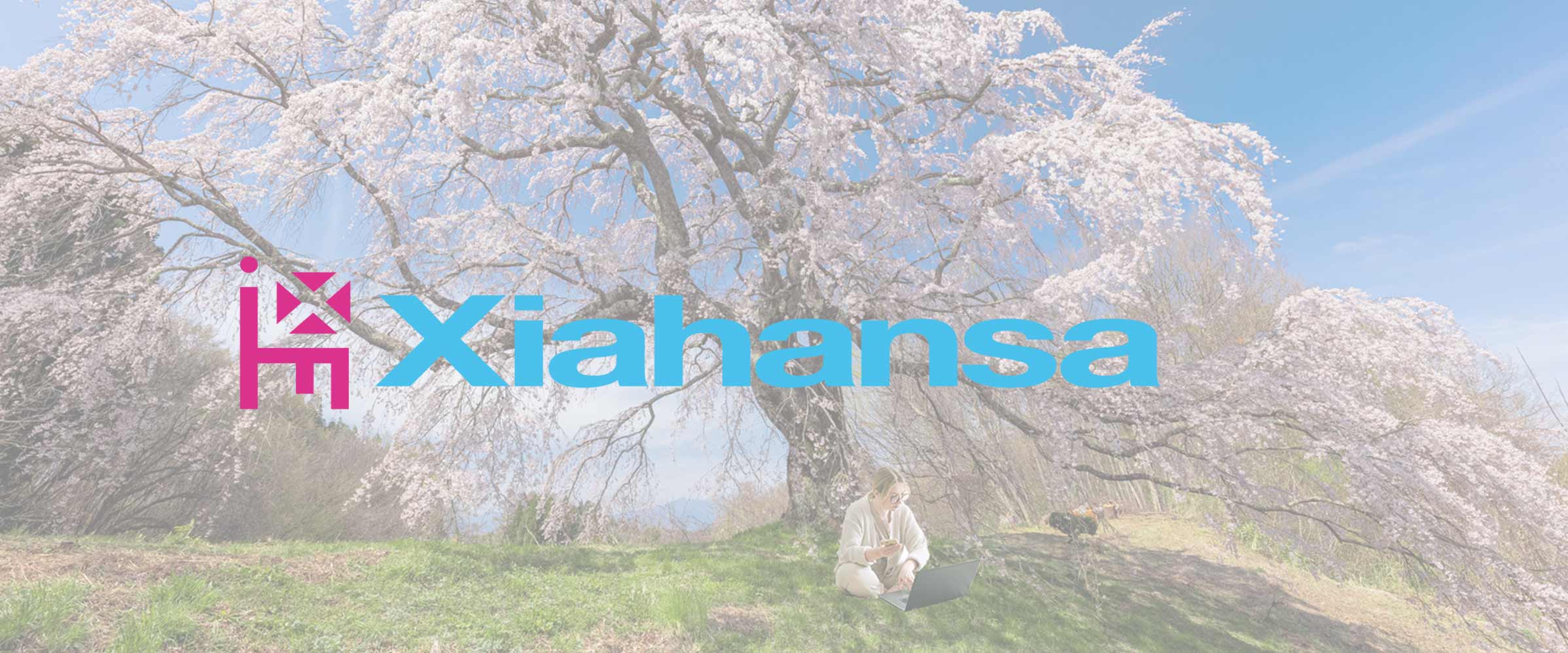 桜の気の下でHTMLのコーディングイメージ